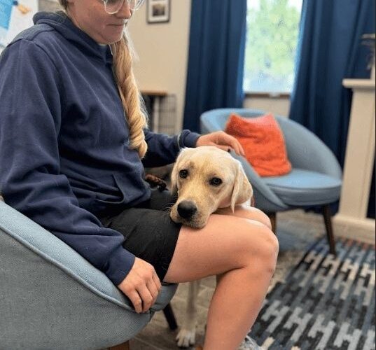 Terapihund vilar med huvudet på förarens knä i ett lugnt rum
